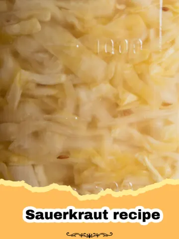 Homemade Sauerkraut: A Simple Guide to Tangy Fermented Goodness