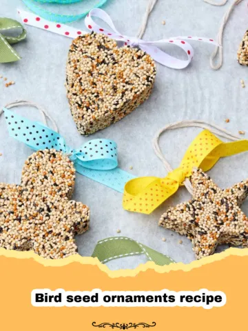 Easy DIY Bird Seed Ornaments: A Heartwarming Winter Project 10 Easy DIY Bird Seed Ornaments: A Heartwarming Winter Project