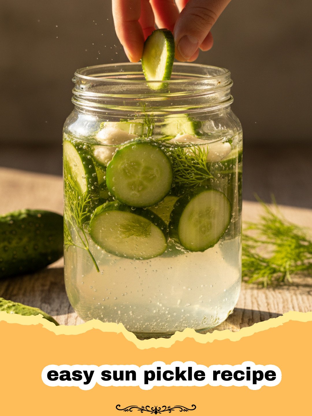 Close up of glass jars filled with cucumbers and dill sitting in the sunlight for an easy sun pickle recipe.
