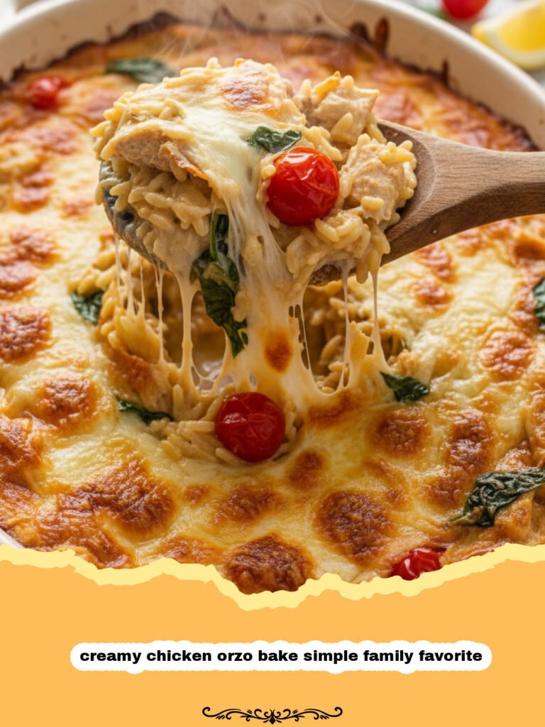 Creamy Chicken Orzo Bake: A Simple Family Favorite You'll Love 5 creamy chicken orzo bake simple family favorite - The image shows a plate of roasted chicken pieces coated in a golden-brown parmesan crust. The chicken is cut into bite-sized chunks, seasoned with herbs and baked until crispy. The chicken sits on a dark plate, with some pieces appearing juicy and tender inside.