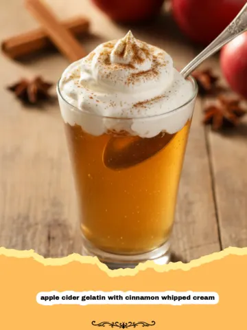 Cozy Apple Cider Gelatin with Cinnamon Whipped Cream 21 Cozy Apple Cider Gelatin with Cinnamon Whipped Cream