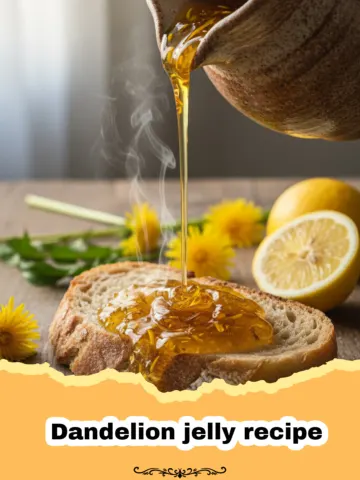 The Ultimate Homemade Dandelion Jelly Recipe: Spring in a Jar 20 The Ultimate Homemade Dandelion Jelly Recipe: Spring in a Jar