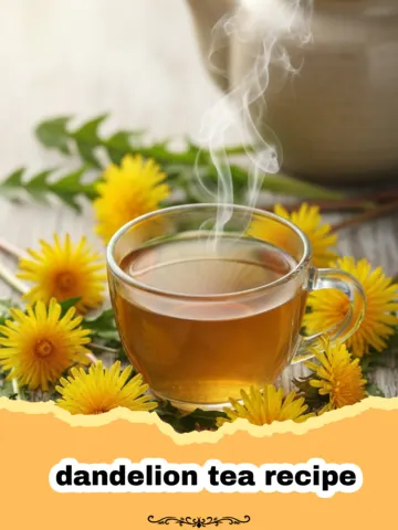Embrace Wellness with This Nourishing Dandelion Tea Recipe 11 Embrace Wellness with This Nourishing Dandelion Tea Recipe