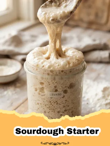 The Ultimate Guide to Cultivating Your Own Sourdough Starter from Scratch 14 The Ultimate Guide to Cultivating Your Own Sourdough Starter from Scratch