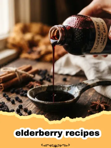 Beyond Syrup: 5 Delightful Elderberry Recipes You Need to Try This Season