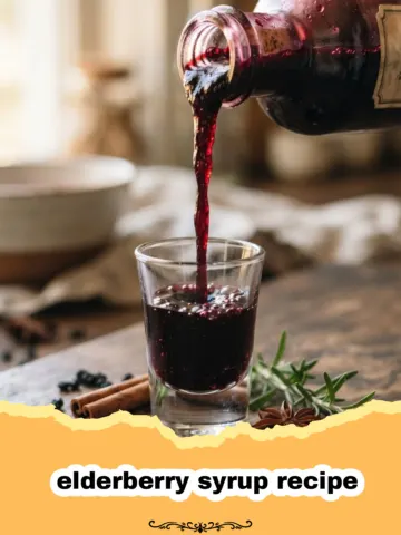 The Ultimate Homemade Elderberry Syrup Recipe for Winter Wellness