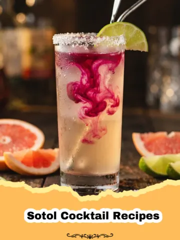Exploring the Wild Frontier of Sotol Cocktail Recipes